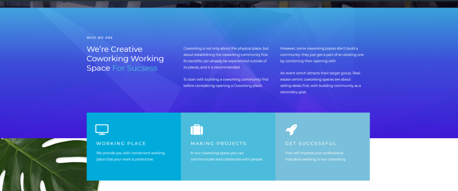 Develop a Professional SquareSpace Website