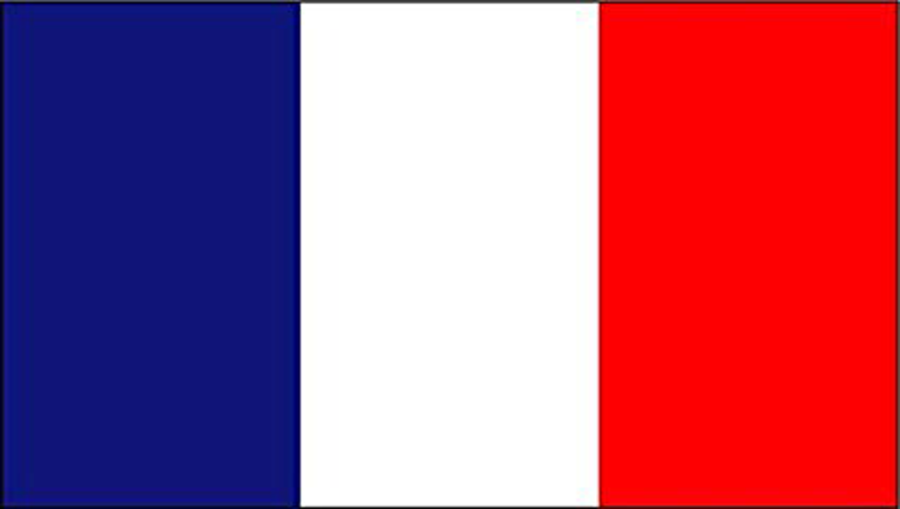 we will create 60 best france local citations