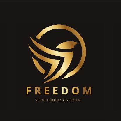 i provide logo design in low price .