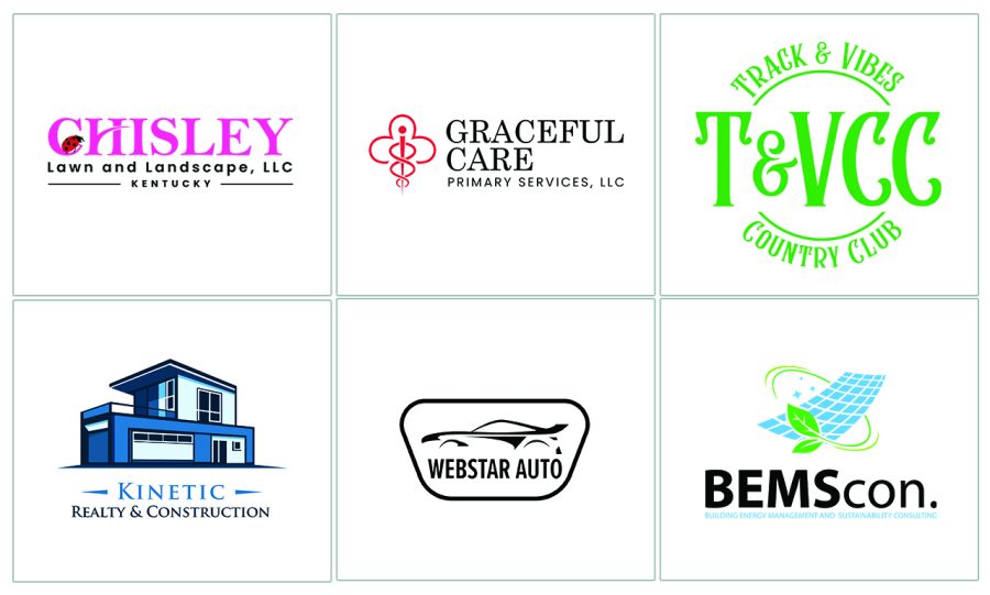 I Will Design a PROFESSIONAL LOGO in 24 hours
