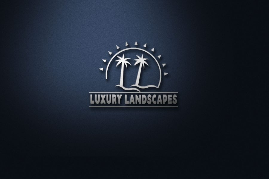 Modern Minimalist Logo With Unlimited Revisions