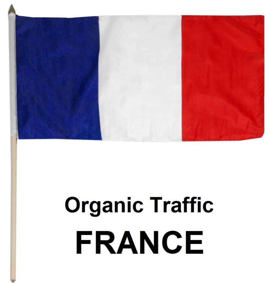 More than 5050 Real Organic Traffic from France, USA