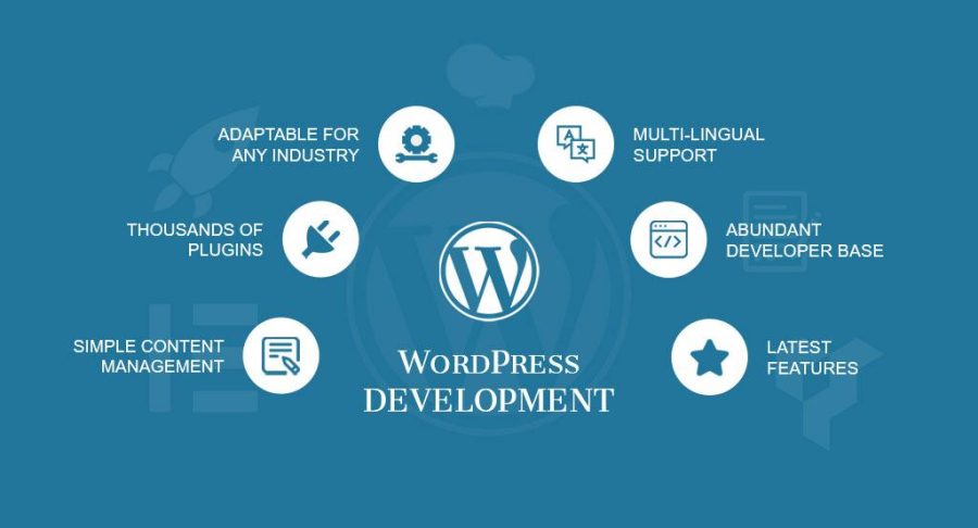 DevoLoped Or Customize Wordpress