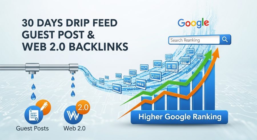 30 Days Drip Feed Guest Post and Web 2.0 Backlinks for Google Ranking