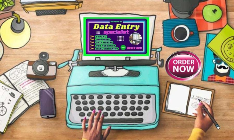 I will do any Data Entry, Copy Past and Typing job