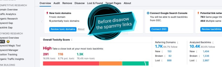 I will do backlinks audit, disavow toxic and spam links
