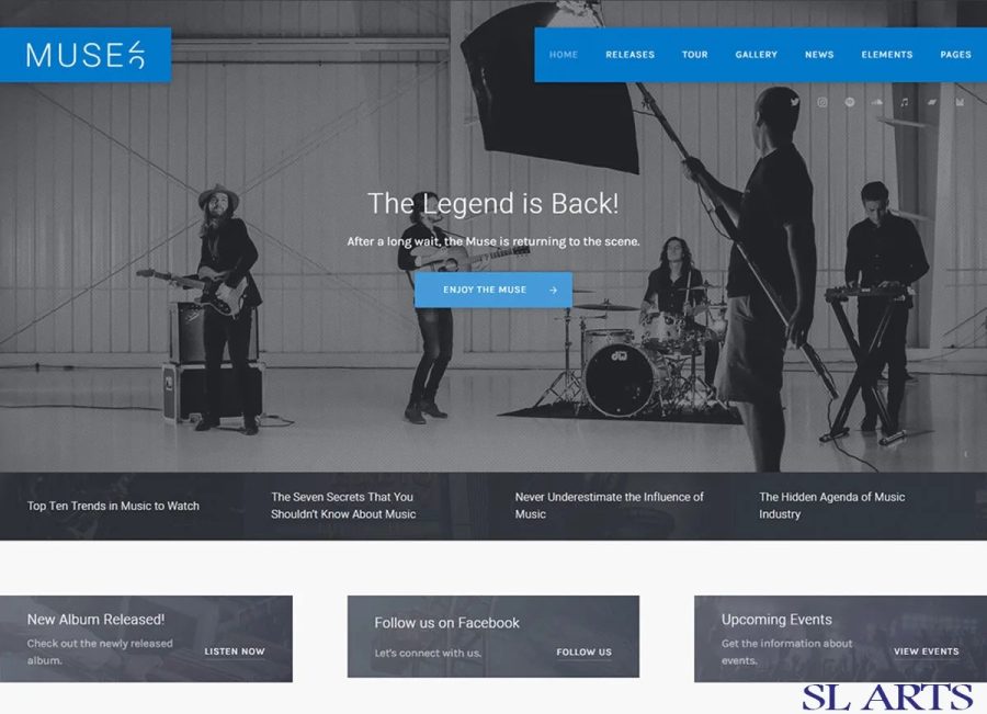 I will develop or design or customize wordpress website