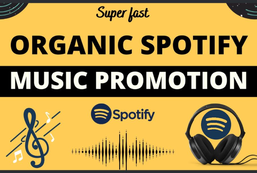 I will do real organic music songs promotion for track streams super fast