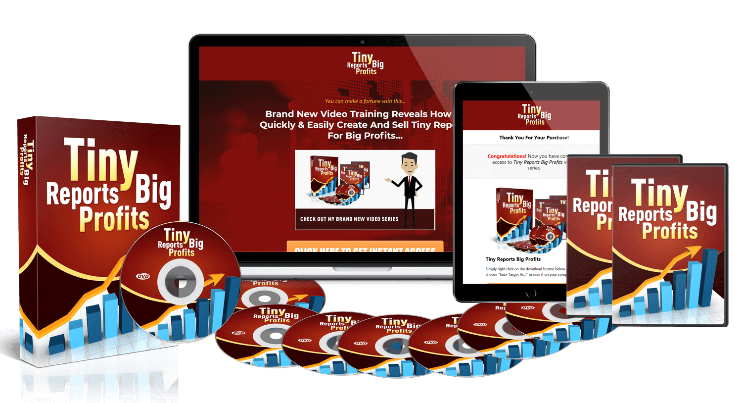 Get Tiny Reports Big Profits&rdquo; Video Training PLR