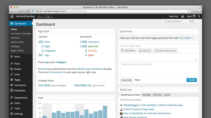 I will do Wordpress site ON Page SEO Optimization and GOOGLE RANK