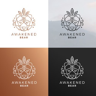 I will do minimalist business logo design