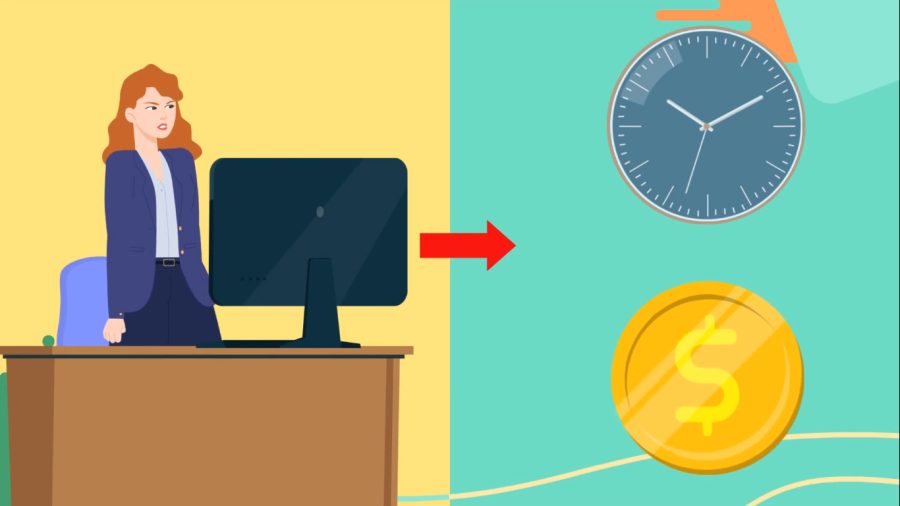 I will create professional 2d animated explainers video