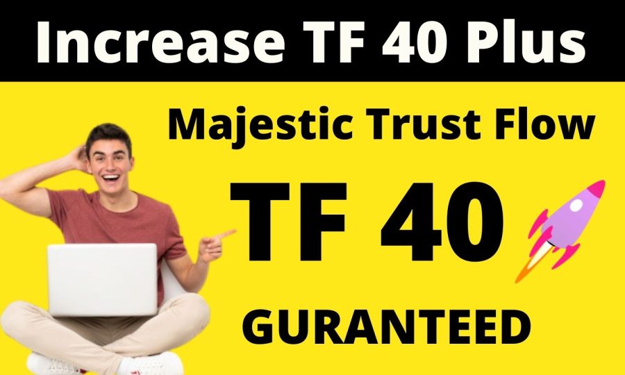 I will increase your majestic trust flow upto 40 plus, increase tf cf