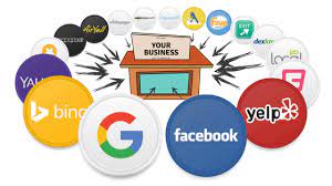 I will create 200 local citation or business listing for any country