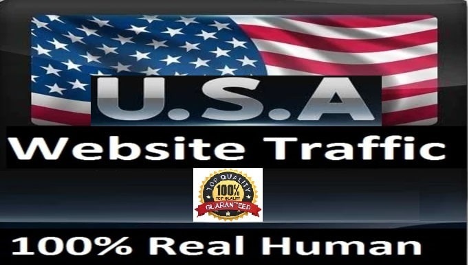 I will send website ranking , targeted usa traffic to your website