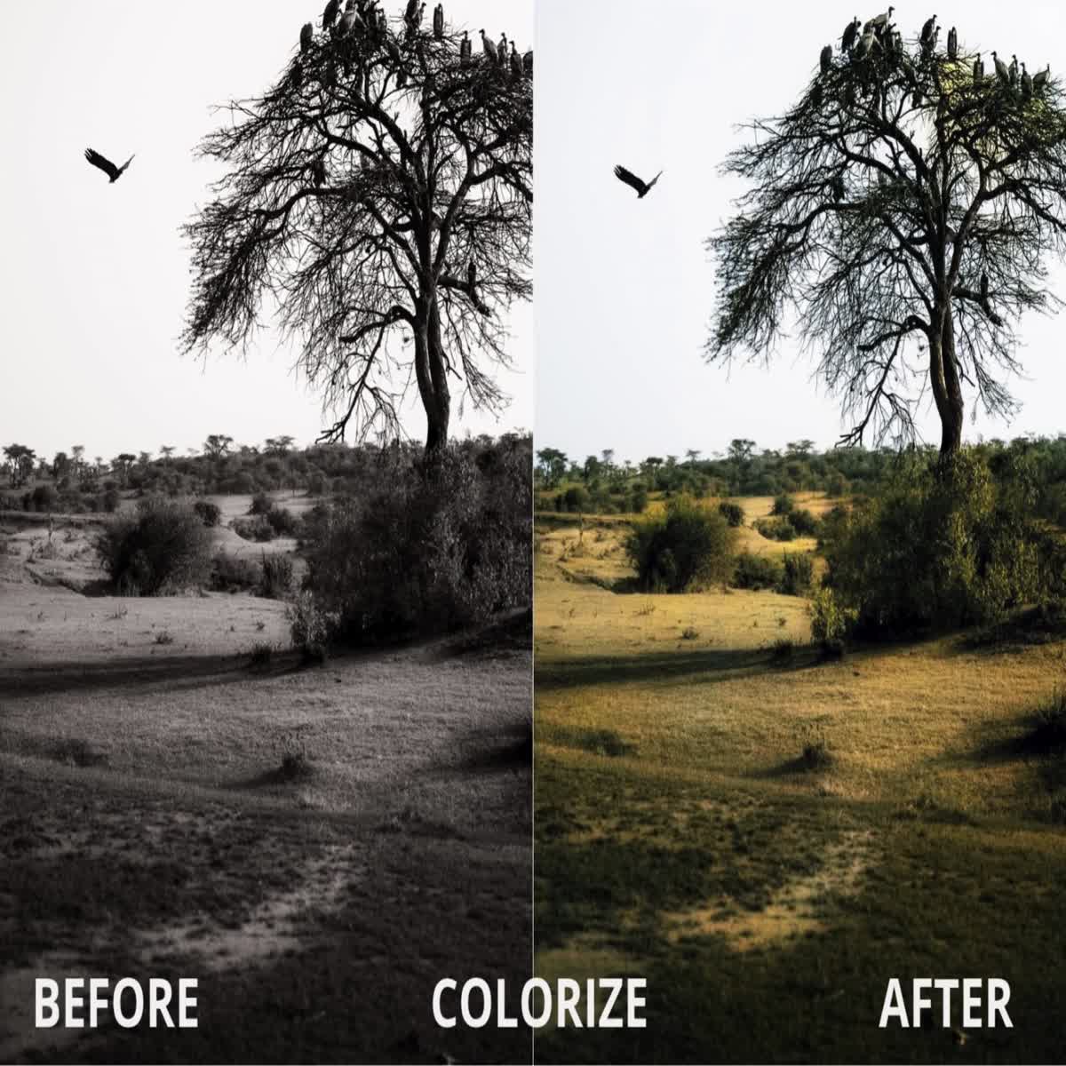 I will edit and retouch your photos 