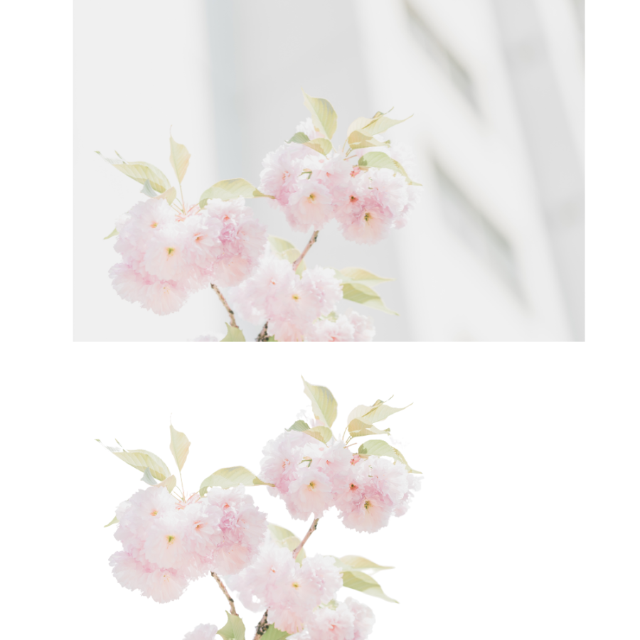 I will cut out and background removal from 30 images professionally