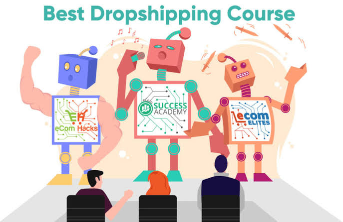 Premium Dropshipping Course- Create your store and make money online 
