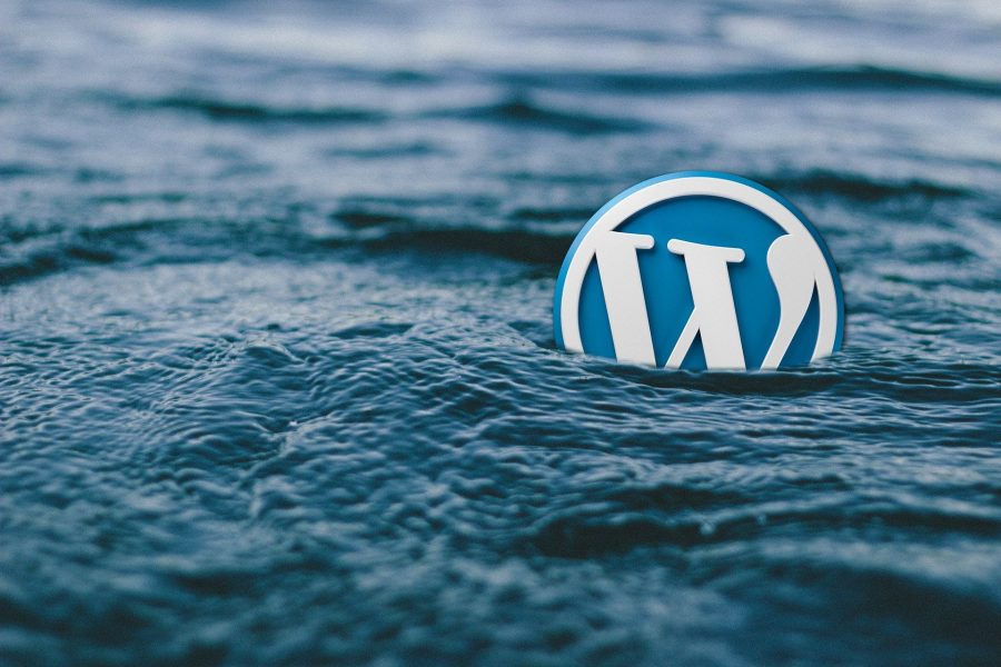 I will design your WordPress website.
