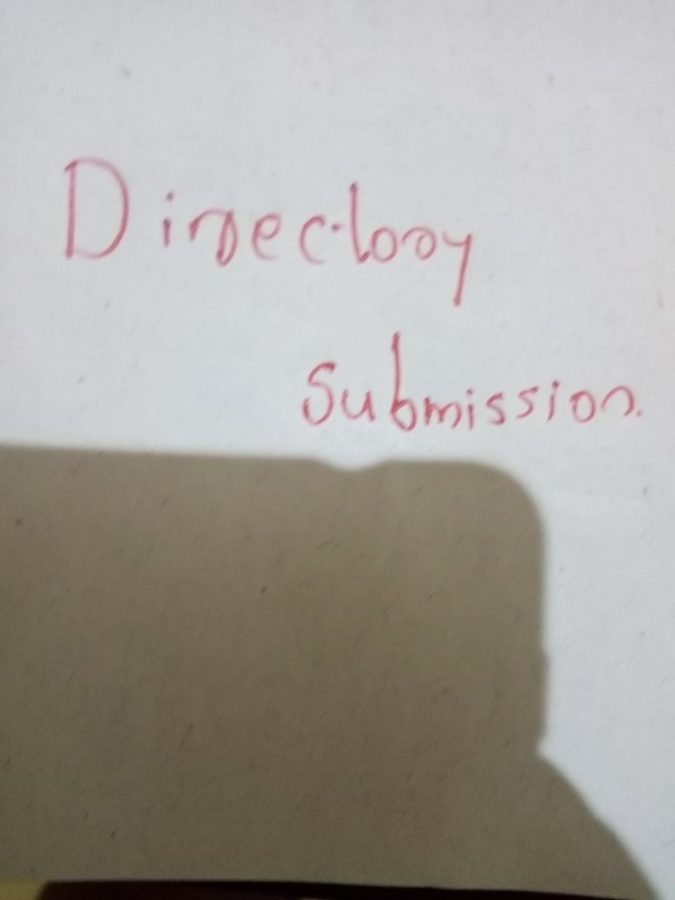 500 directory submission within 24 hours