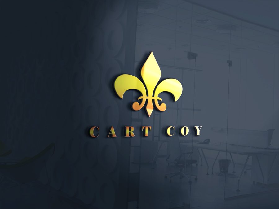 Professional logo design for company websiet...