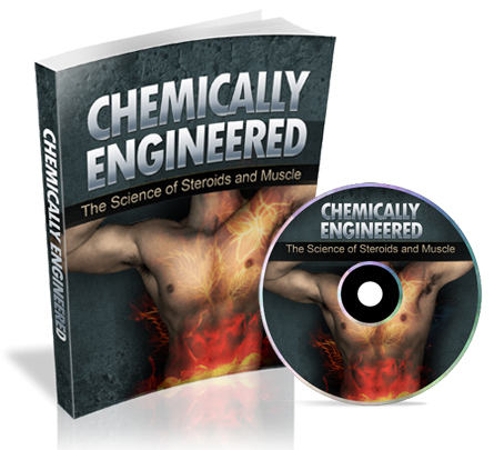 Saver Pack 1000 Quality PLR Fitness Health and YOGA Article with Free Ebooks