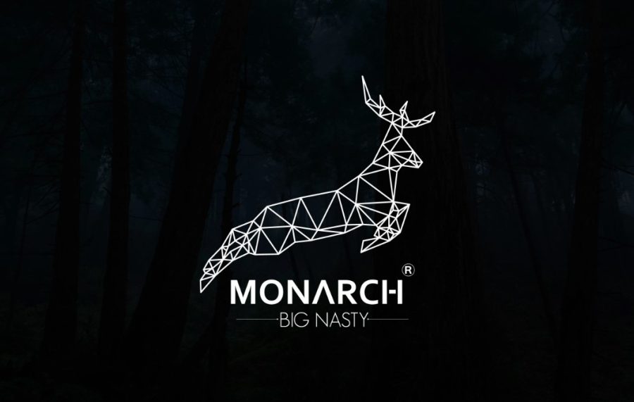 Do Killer Minimalistic Logo Design