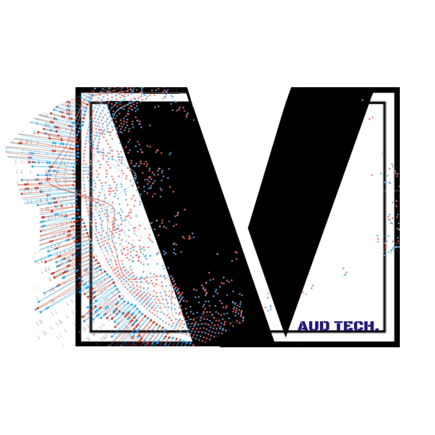 Video Editing and animation to attact your audiance