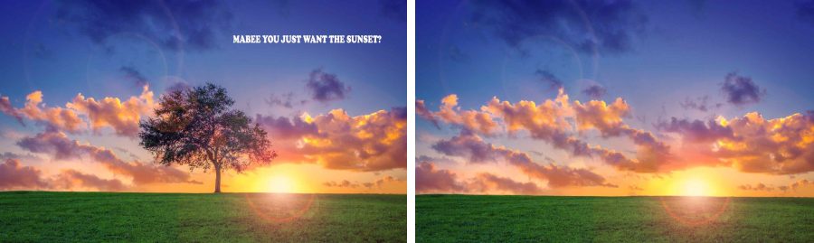 I AM ABLE TO REMOVE ANY UNWANTED OBJECT FROM A PHOTO YOU SUPPLY