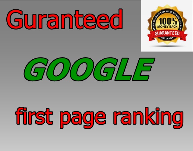 Rank your website in GOOGLE first page , guranteed