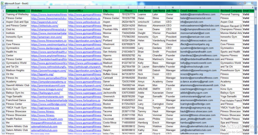 B2B Lead Generation,web research, Fastest And Accurate Excel Data Entry Job