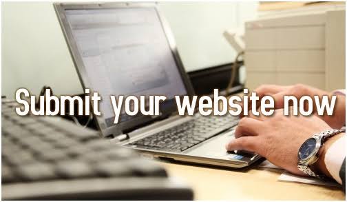 I'll submit your website to 700 directories
