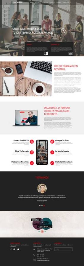 Create a Professional wordpress site