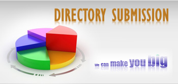 100 Directory submission with in 24 hours.....