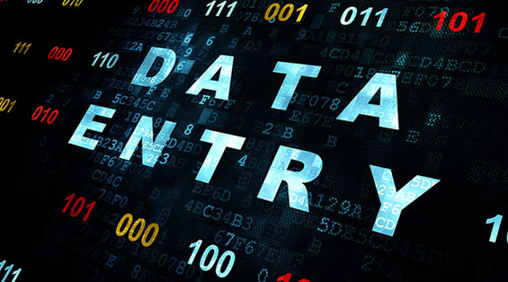 Professional Data Entry Operator