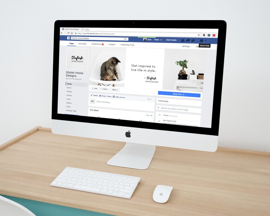 Professional Typing, Any type of Data Entry & Convert PDF or Image to Word or Excel 