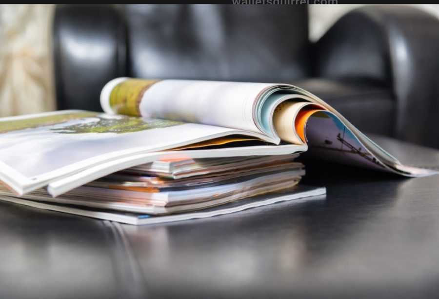 Write any type of article up to 1000 words