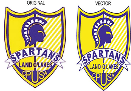 I will convert raster to vector illustration in adobe illustrator