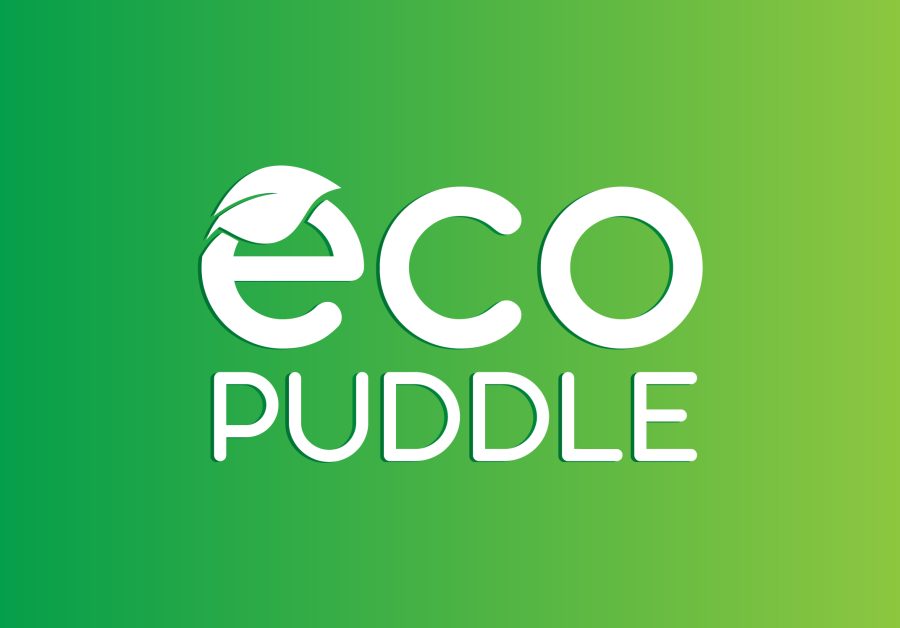 Design a unique professional logo design for your company or business