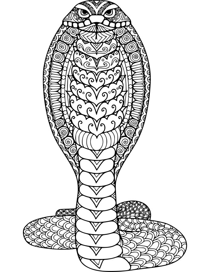 60 Animal Coloring Pages for Adults with Resell Right