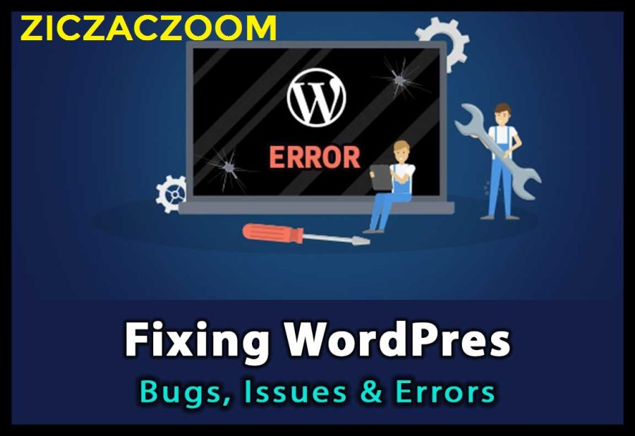 FIX Any WordPress Errors, Issues, Bugs, PHP, Technical Alerts or Warnings, Spam, Lost Password