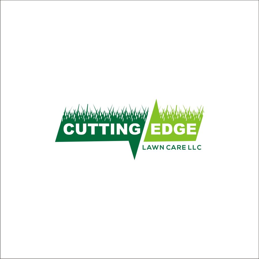 I Will Design Professional cool Logo