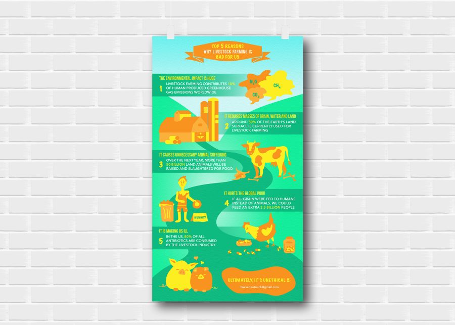 Professional Illustrated Infographics