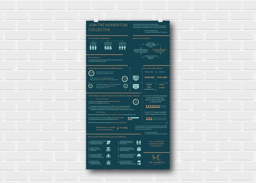 Complex Professional Infographics