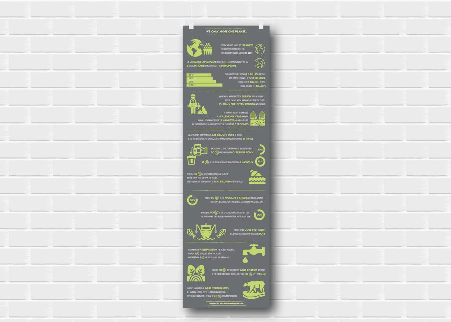 Awesome Flat Infographics Design