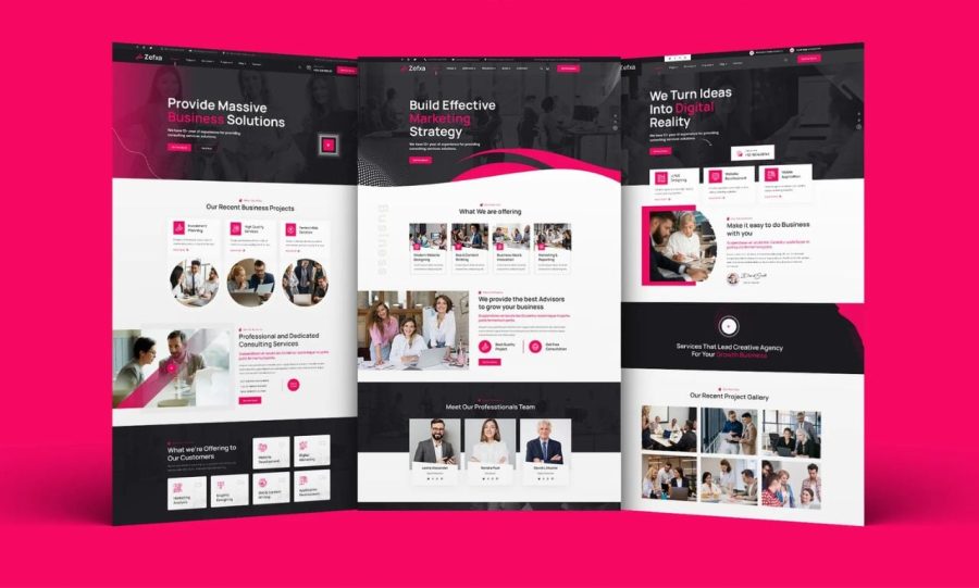 I will develop complete professional website