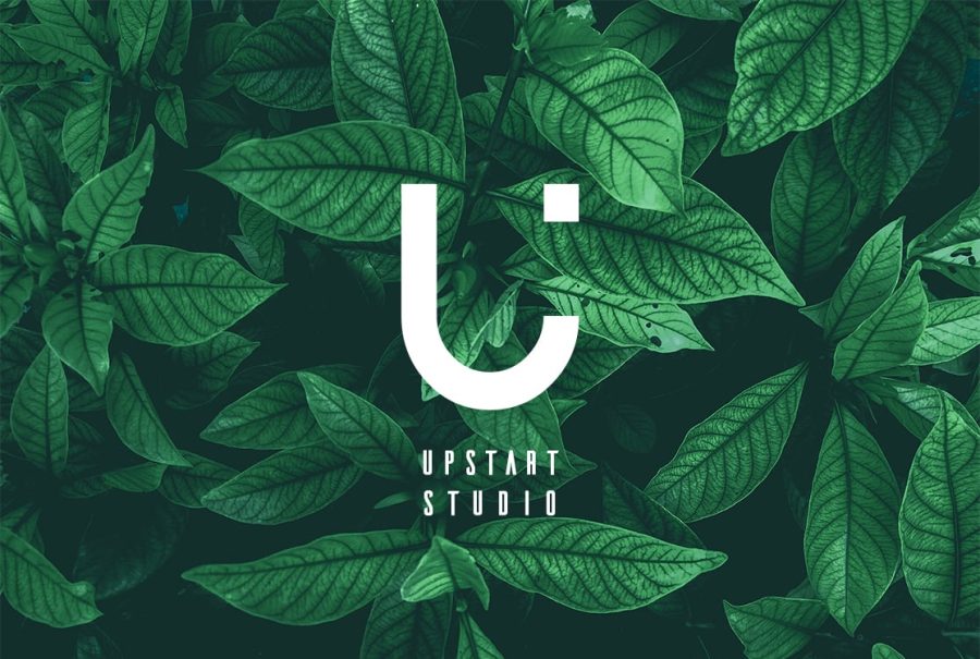 design spectacular logo design within 24hours
