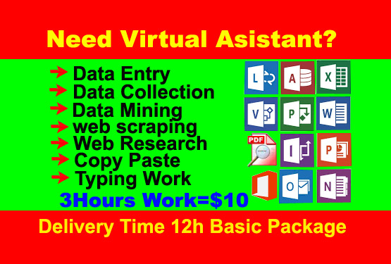I will do all type of data entry, mining, scraping, internet research work