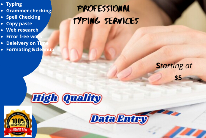do typing,copy paste and any data entry work professionally