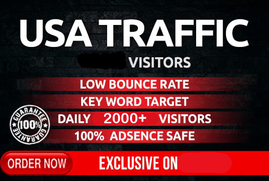 I will drive safe organic targeted USA traffic